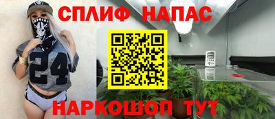 индика Лесосибирск
