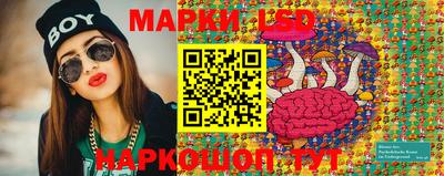 индика Лесосибирск