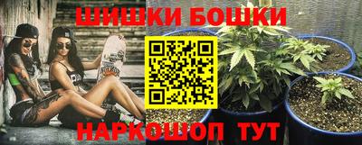 индика Лесосибирск