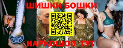 индика Лесосибирск