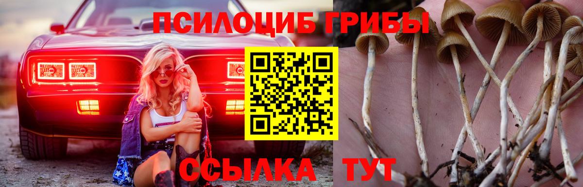 Псилоцибиновые грибы GOLDEN TEACHER Ивантеевка